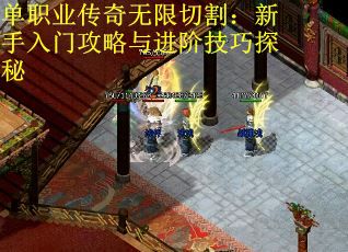 单职业传奇无限切割：新手入门攻略与进阶技巧探秘