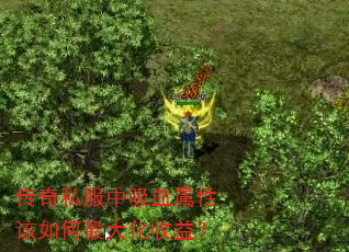 ����˽������Ѫ���Ը����������棿