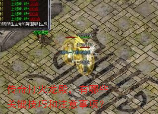 �������������Щ�ؼ����ɺ�ע�����