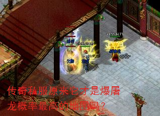 传奇私服原来它才是爆屠龙概率最高的地图吗? 传奇私服原来它才是爆屠龙概率最高的地图吗?