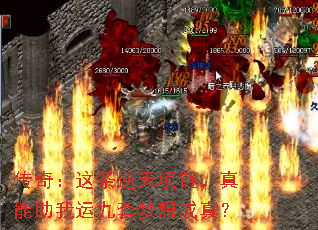 ���棺�����������������������˾���������棿