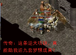 ���棺�����������������������˾���������棿