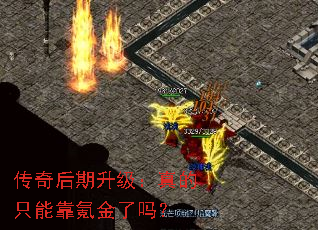 ����������������ֻ�ܿ�봽�����