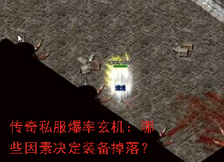 ����˽��������������Щ���ؾ���װ�����䣿