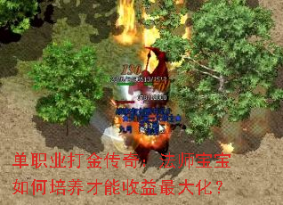 ��ְҵ����棺��ʦ���������������������󻯣�