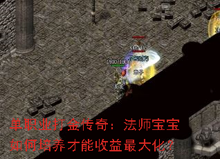 ��ְҵ����棺��ʦ���������������������󻯣�
