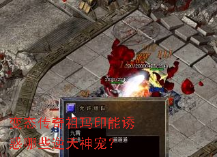 ��̬��������ӡ���ջ���Щ������裿