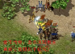 ��Ҵ��棺��ɱ���������������׬��������