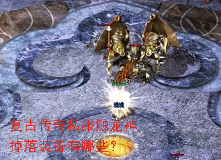 ���Ŵ���˽�����������װ������Щ��