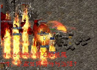 1.76���棺��ʯ������ԣ������ο�����ѡ��