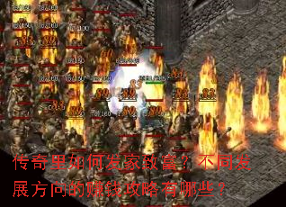 ��������η����¸�����ͬ��չ�����׬Ǯ��������Щ��