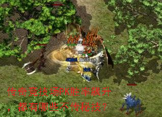 ���澺����PKʤ�������������Щ�����ؼ���