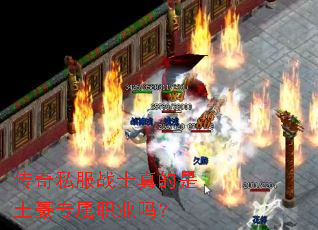 ����˽��սʿ���������ר��ְҵ��