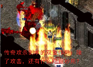 ���湥ɱ������˫�����ã����˹���������ʲô�������ã�