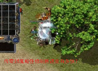 �����ħ�����ˢ���ٶ��ж�죿