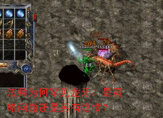 ��ʦΪ�κ����������ǲ������⻹���������飿