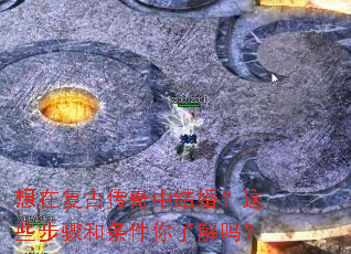 ���ڸ��Ŵ����н�飿��Щ������������˽���