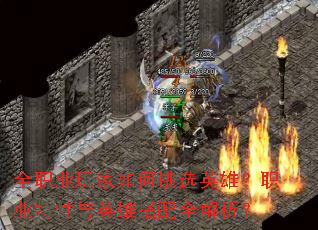 ȫְҵ��������ѡӢ�ۣ�ְҵ������Ӣ�۴���ȫ������