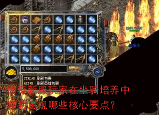 �����·�������������������׺�����Щ����Ҫ�㣿
