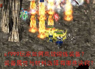 sf999�����θ�Ч����װ����װ�����������ѡ������Щ���ϣ�