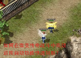 �����΢�䴫��ս���и�Ч�����Զ����ܿ�����ʤ��