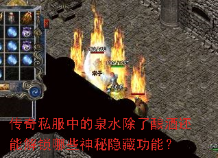 ����˽���е�Ȫˮ������ƻ��ܽ�����Щ�������ع��ܣ�