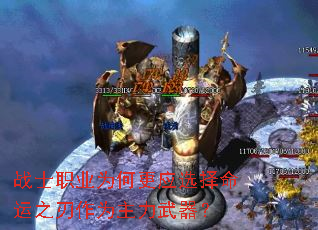 սʿְҵΪ�θ�Ӧѡ������֮����Ϊ����������