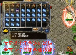 �����ʿ��ɫ�ﵽ20�������ѧϰ��Щ�¼��ܣ�