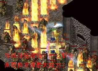 ������ħ��ָ��ʲôְҵ����ܷ������������