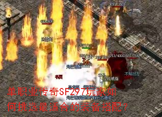 ��ְҵ����SF297��������ѡ���ʺϵ�װ�����䣿