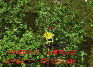 ����SF����վ����θ�Ч��ȡ������ʯ����ϸ�������