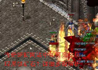 ����SF����վ����θ�Ч��ȡ������ʯ����ϸ�������