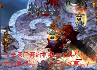 �������ſ�������8200����������Щ��ɫ�淨����սҪ�㣿