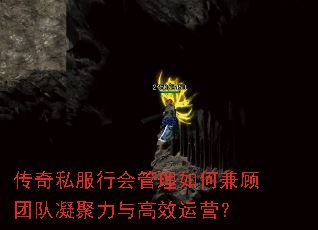 ����˽���л������μ���Ŷ����������Ч��Ӫ��