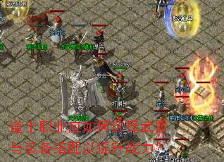 ��ʿְҵӦ���ѡ��������װ������������ս����