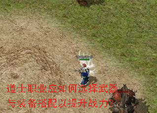 ��ʿְҵӦ���ѡ��������װ������������ս����