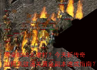 �ƽ�BOSS̫�Ѵ򣿽����´�����θ�Чͨ�ػƽ𸱱��ٳ�ָ�ϣ�