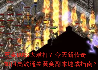 �ƽ�BOSS̫�Ѵ򣿽����´�����θ�Чͨ�ػƽ𸱱��ٳ�ָ�ϣ�