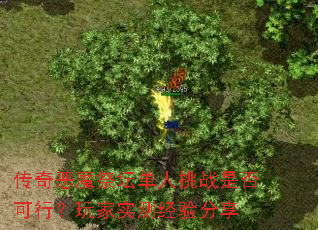 �����ħ��̳������ս�Ƿ���У����ʵ�⾭�����
