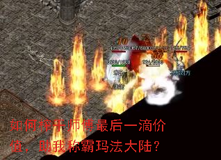 ���ե��ʦ�����һ�μ�ֵ�����ҳư��귨��½��