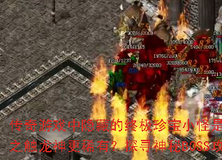������Ϸ�����ص��ռ��䱦С���Ƿ�Ȱ�֮�������ϡ�У�̽Ѱ����BOSS����