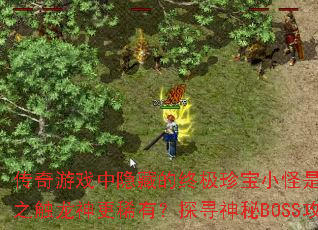 ������Ϸ�����ص��ռ��䱦С���Ƿ�Ȱ�֮�������ϡ�У�̽Ѱ����BOSS����