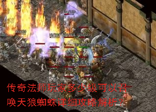 ���淨ʦ��Ҷ��ټ������ٻ�����֩����ϸ���Խ�����