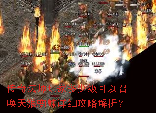 ���淨ʦ��Ҷ��ټ������ٻ�����֩����ϸ���Խ�����