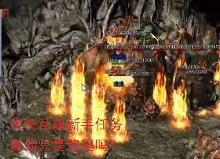 ����˽�������������ֻ��������