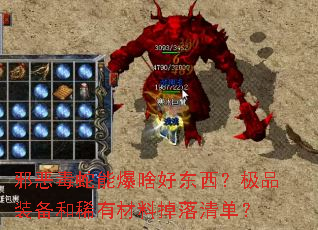 а�����ܱ�ɶ�ö�������Ʒװ����ϡ�в��ϵ����嵥��