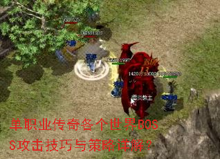 ��ְҵ�����������BOSS���������������⣿