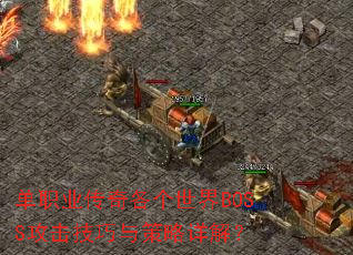 ��ְҵ�����������BOSS���������������⣿