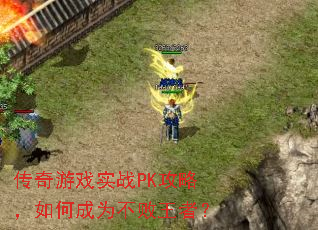 ������ϷʵսPK���ԣ���γ�Ϊ�������ߣ�