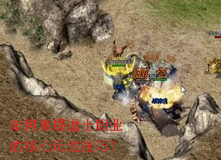 ������յ�ʿְҵ�ĺ����淨���ɣ�